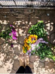 Maybe you would like to learn more about one of these? Make Your Flowers Last Longer Devika Narain