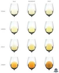 57 Best Colorful Wine Images Wine Shades Of Burgundy
