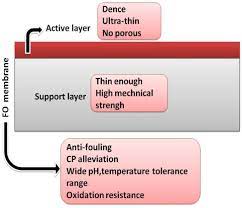 Due to the relatively high water permeability of some epithelial cells, it was long suspected that some additional mechanism for water transport across membranes must. Water Free Full Text Research On Forward Osmosis Membrane Technology Still Needs Improvement In Water Recovery And Wastewater Treatment Html
