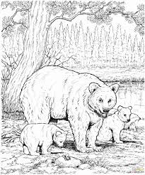 Coloring Pages Animals Realistic Unique Realisic Animal Coloring Pages Album Sabadaphnecottage In 2020 Bear Coloring Pages Family Coloring Pages Animal Coloring Pages