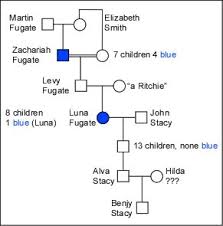 The Blue People Of Kentucky Just Another Wordpress Com Site Blue people of kentucky why the fugate family had blue skin a frenchman arrived in kentucky in 1820, bringing with him his. the blue people of kentucky just