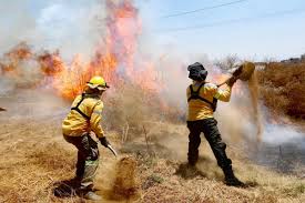 We did not find results for: Gobierno De La Ciudad Mexico Llama A Evitar Incendios Forestales