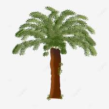 Hasil panen plasma, berkisar 3 ton. Gambar Corak Pokok Sawit Simulasi Hijau Pokok Kelapa Sawit Tanaman Hijau Png Dan Psd Untuk Muat Turun Percuma