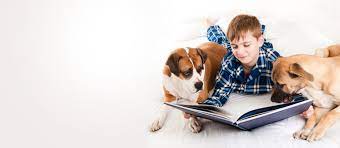 Shop dog food & pet supplies online today. Pet Partners Therapy Dogs Other Therapy Animals