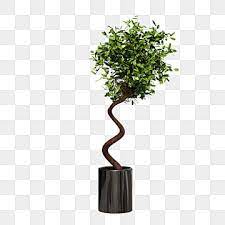 Potted Plant Potted Plants Bonsai Home Decoration Png Transparent Clipart Image And Psd File For Free Download Watercolor Plants Potted Plants Planting Flowers