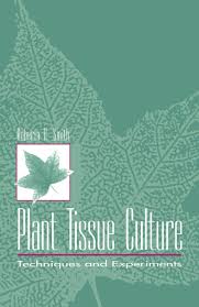 Plant tissue culture definition tissue culture is in vitro cultivation of plant cell or tissue under aseptic and controlled environmental conditions, in liquid or on semisolid well defined nutrient medium for the production of primary and secondary metabolites or to regenerate plant. Plant Tissue Culture Techniques And Experiments Ebook Plant Tissue Experiments Culture