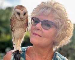 Realistic Fox/red Fox/felted Animals/felt Fox/needle Felted Animal/needle  Felted Fox/fox Sculpture/fox Gift/fox Ornament/woodland Decor