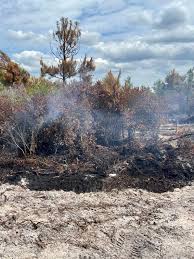 The Holly Shelter wildfire could burn for months. Here's why.