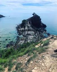 Pulau kapas got manyyyy fishes and nice coral too! Kapas Marine Boat Service Kapasmarine Profile Pinterest
