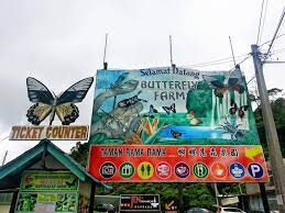 Taman Homestay Cameron Highlands Iman S Homestay Facebook