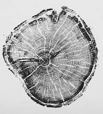 Old Growth Pine Tree Print Woodcuts Prints Wood Print Tree Print