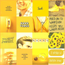 Tyler Aesthetic Mood Board Collage By Therealzaple On Deviantart