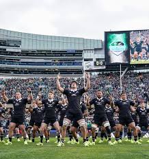 All Blacks and Springboks to clash in historic US test