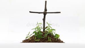 The most common burial cross material is metal. Burial With Cross In White Background Stock Image Image Of Burial Closeup 139695967