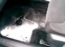 Remove Spoiled Milk Smell Out Of A Car No Matter How Old - The Odor Dude.  Expert Free Odor Removal Help