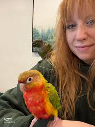 Meet Thomas Eugene Paris: A Star Trek Fan's Companion