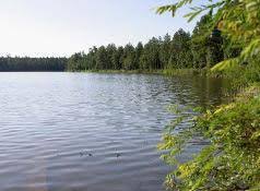 Rainbow trout, largemouth bass, smallmouth bass, crappie, sunfish, channel catfish, walleye, northern pike. Top 5 Arizona Family Fishing Spots Westernbass Com