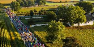 Bird-in-Hand Half Marathon, 5K, and Kid's Fun Run