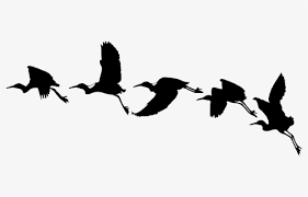 Flying Bird Silhouette Png Images Free Transparent Flying Bird Silhouette Download Kindpng Silhouette flying birds on white background stock vector (royalty free) discover and download free flying bird silhouette png images on pngitem. flying bird silhouette png images free