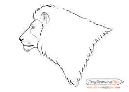 A cool thing about the drawing of a lion is that it gets better and better the more you do it. How To Draw A Lion Full Body Step By Step Easydrawingtips Drawing Tutorials For Beginners Face Side View Drawing Drawings