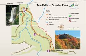 Nothing seemed special, but then they looked closer. 25 Fall Day Trips From Toronto To Do Canada