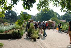 2020 virtueller staudenmarkt botanischer garten berlin. Serie Berliner Staudenmarkt Feels Like England Berlingarten