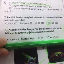 Acil Cevap En Iyi Seccem Eodev Com