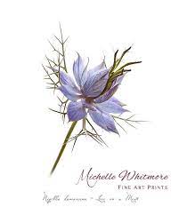 Blue Love In A Mist Botanical Floral Print By Mwfineartprints 25 00 Watercolor Tattoo Flower Flower Pictures Botanical Floral Prints