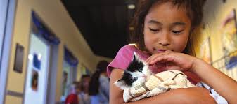 Kitten Nursery Shower