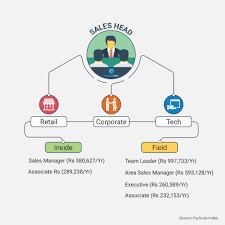 1707 Sales Jobs November 2020 Sales Openings Aasaanjobs Sales Jobs Job Info Sales Job Description