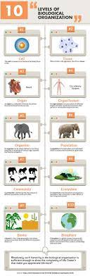 Levels Of Biological Organization Infographics