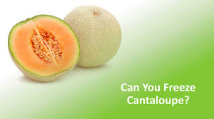 Both methods are given below. Can You Freeze Cantaloupe How Long Does It Last In The Freezer