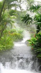 Waterfall Trees Vegetation Nature Landscape 84449 640x1136 Beautiful Landscapes Landscape Wallpaper Beautiful Nature