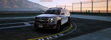 Image result for Sheriffs Tan 2018 Fleet