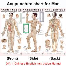 Standard Meridian Acupuncture Points Chart And Zhenjiu