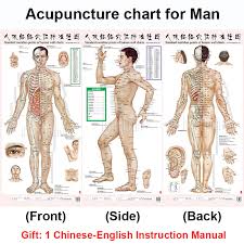 standard meridian acupuncture points chart and zhenjiu