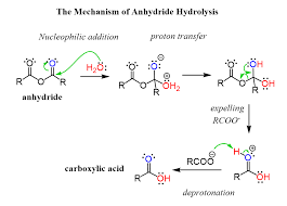 Pin On Reactions Of Carboxylic Acids And Their Derivatives Practice Problems