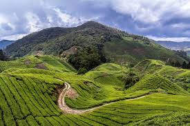 This is a wonderful place to visit in malaysia with kids as they are going to love the various rides, shows, slides and multiple other attractions. 6 Great Places To Visit In Malaysia Besides Kuala Lumpur Passing Thru For The Curious And Thoughtful Traveler