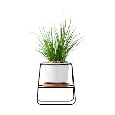 We did not find results for: Planter Pots Indoor Modern Plants And Planters Garden White Ceramic Round Bowl Large Planter With Metal Stand Bamboo Tray For Succulent Planter Cactus Buy Online In Azerbaijan At Azerbaijan Desertcart Com Productid 106952681