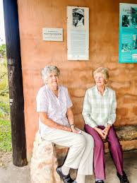 Image result for Lopholaena sp.no.1