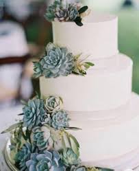 Cake Decorating Kit Succulents For Cake In 2020 Floral Wedding Cakes Simple Wedding Cake Succulent Wedding Cakes