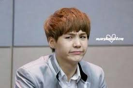 Pin By Beautae On Suga Stank Face Stank Face Meme Bts Suga