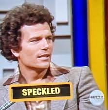 Tic Tac Dough Game Show Premiere in August with Brooke Burns