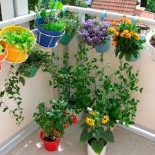 Una buena forma de hacerlo es colocar plantas para terrazas a pleno sol que no sólo le aportan color y calidez a ese sector del hogar, sino que también purifican el aire de las contaminaciones ambientales. Plantas Para Terrazas Ventosas Vix