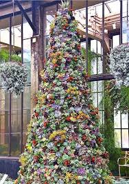 Succulent Tree From Longwood Gardens In Pennsylvania Beautiful Christmas Trees Succulent Tree Succulent Landscaping