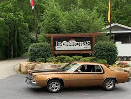 Image result for Golden Fawn 1975 Plymouth