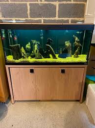 We did not find results for: Fluval Roma 240 Aquarium And Cabinet Oak 200 At Aquarist Classifieds