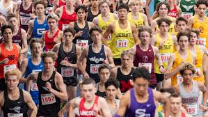 Image result for Ozoroa kassneri