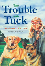 The cay is a children's novel written by theodore taylor. The Cay By Theodore Taylor 9780440416630 Penguinrandomhouse Com Books