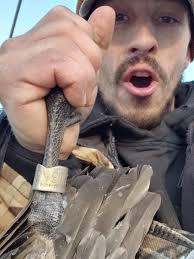 Duck Hunting and Banding in Colorado